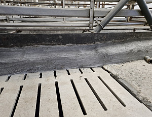 Rekonstrukce haly chovu prasat